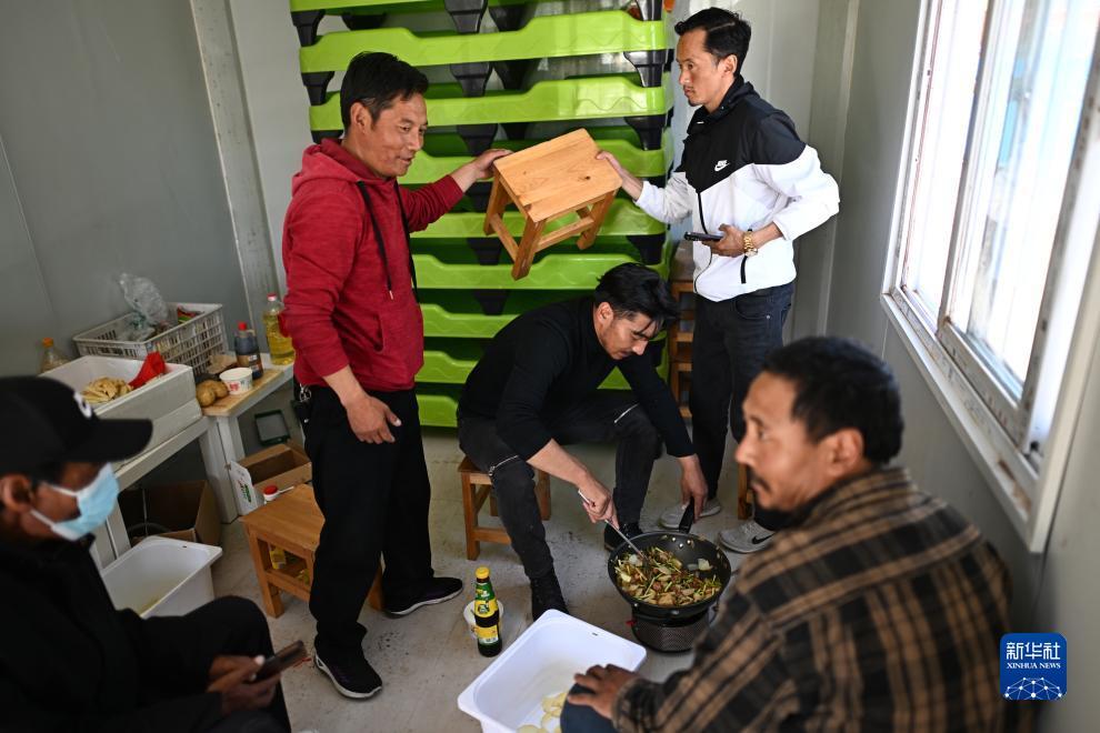 白菜大全交流论坛
